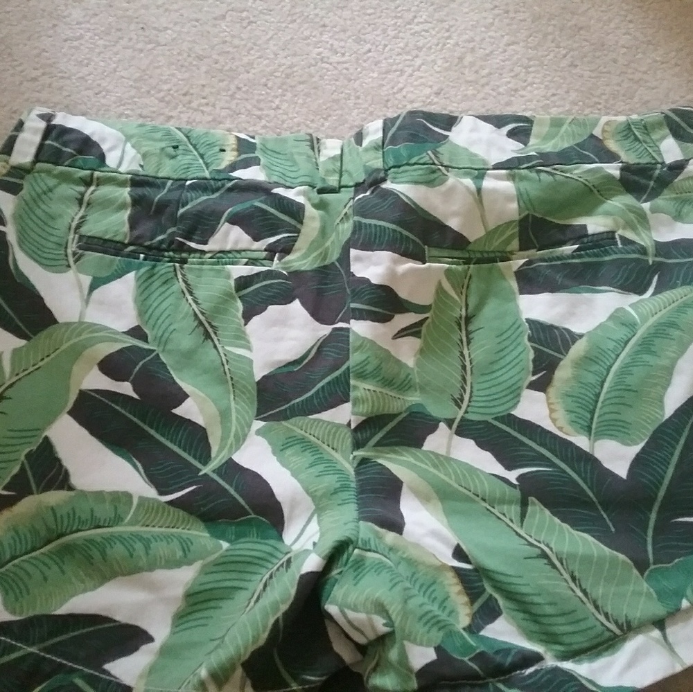 Shorts - Picture 3 of 3